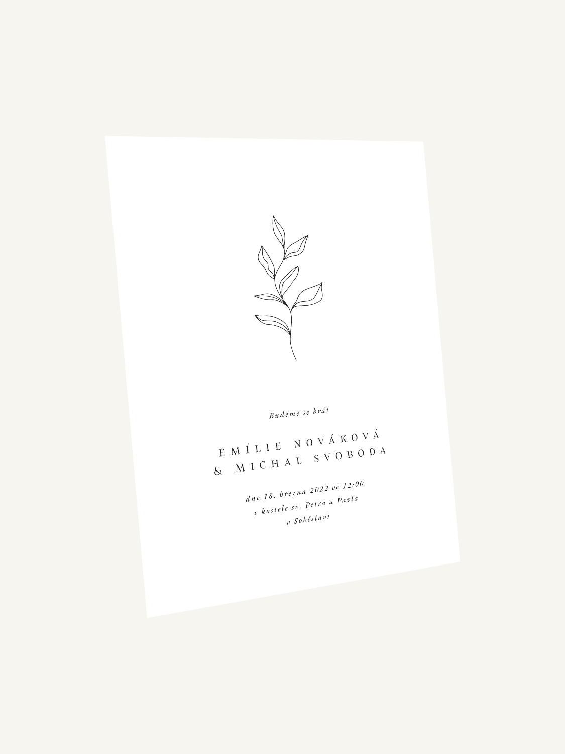 Jednoduché minimalistické svatební oznámení s rostlinou
